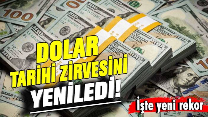 Dolar tarihi zirvesini yeniledi!