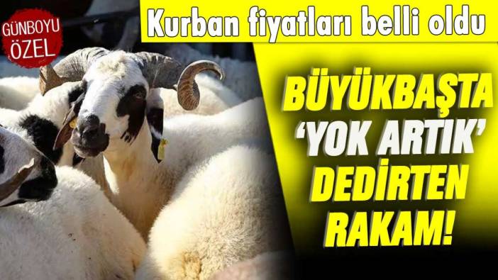 Kurban fiyatları belli oldu: İşte büyükbaşta ağızları açık bırakan fiyat