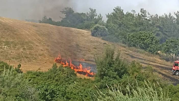 Adana’da anız yangını!