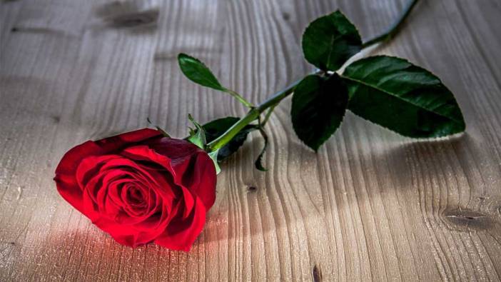 Rüyada kırmızı gül görmek ne anlama gelir?