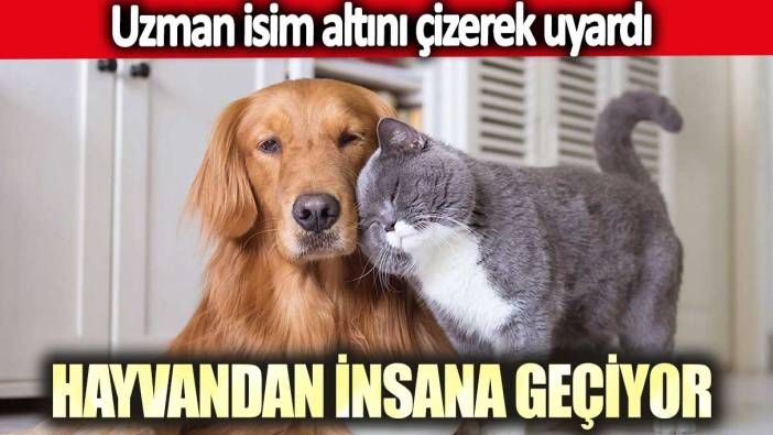 Hayvandan insana geçiyor... Uzman isim altını çizerek uyardı