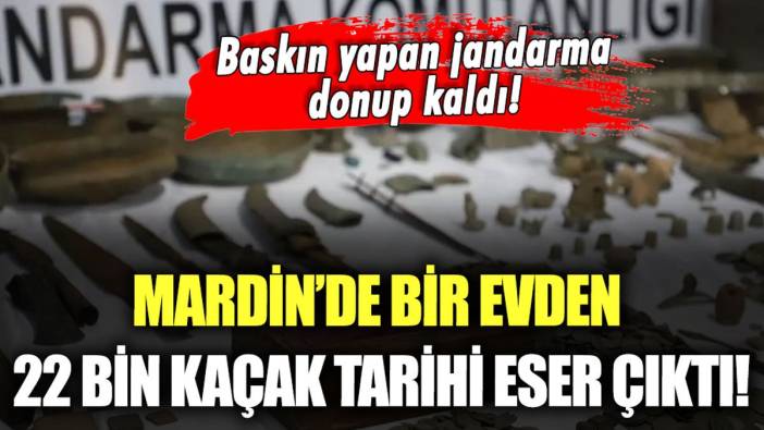 Baskın yapan jandarmalar bile şaşırıp kaldı: Mardin'de bir evden 22 bin tarihi eser çıktı