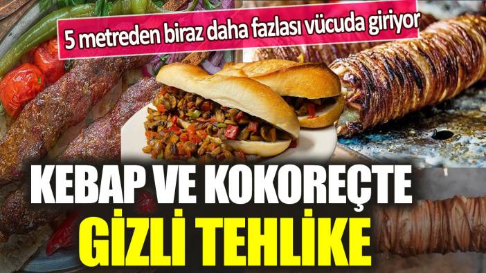 Kebap ve kokoreçteki gizli tehlike: 5 metreden biraz daha fazlası vücuda giriyor