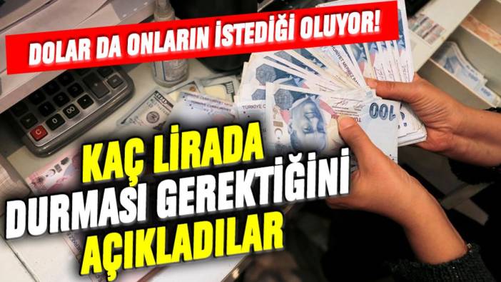 Dolar da onların istediği oluyor! Kaç lirada durması gerektiğini açıkladılar