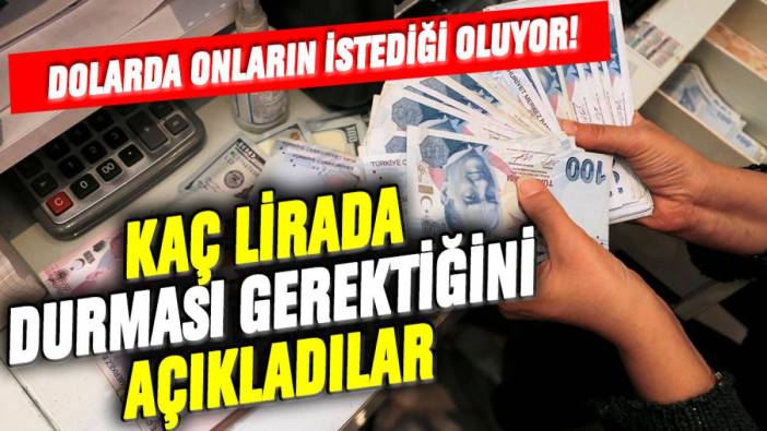 Dolarda onların istediği oluyor! Kaç lirada durması gerektiğini açıkladılar