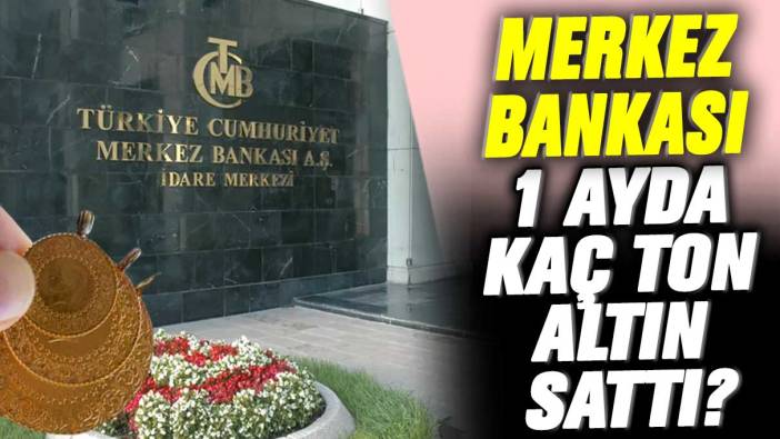 Merkez Bankası 1 ayda kaç ton altın sattı?