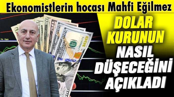 Ekonomistlerin hocası Mahfi Eğilmez dolar kurunun nasıl düşeceğini açıkladı