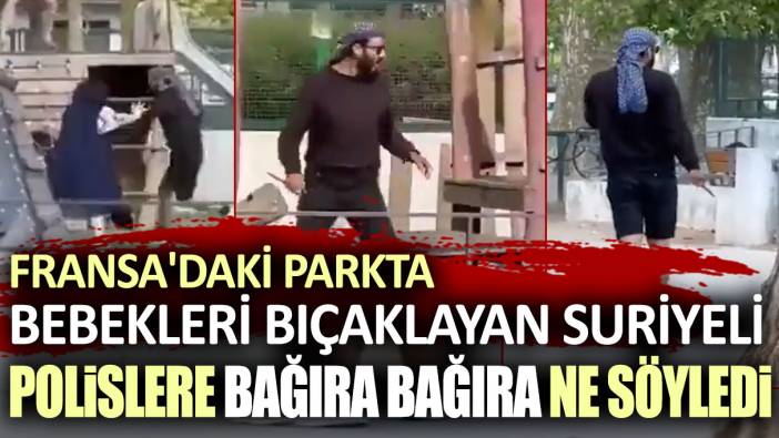 Fransa'daki parkta bebekleri bıçaklayan Suriyeli, polislere bağıra bağıra ne söyledi