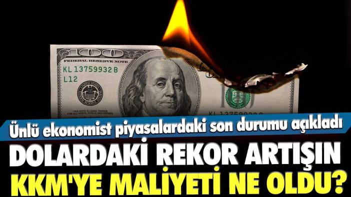 Dolardaki rekor artışın KKM'ye maliyeti ne oldu? Ünlü ekonomist piyasalardaki son durumu açıkladı