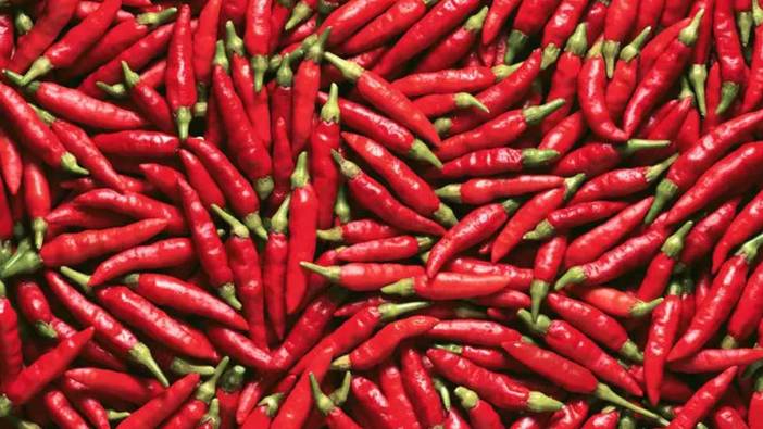 Rüyada acı bir şeyler yemek ne anlama geliyor