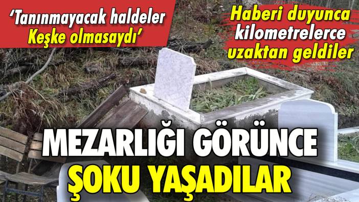 Kastamonu'da mezarlıkta ilginç olay: Görünce şaşırdılar