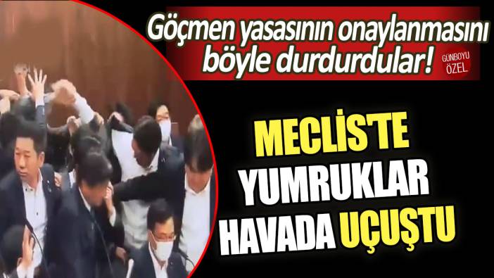 Göçmen yasasının onaylanmasını böyle durdurdular: Meclis'te yumruklar havada uçuştu!