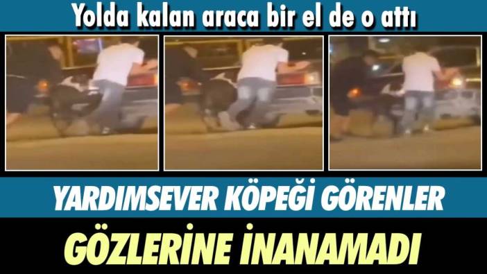 Yolda kalan araca bir el de o attı! Yardımsever köpeği görenler gözlerine inanamadı