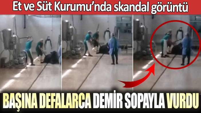 Et ve Süt Kurumu’nda skandal görüntü! Başına defalarca demir sopayla vurdu