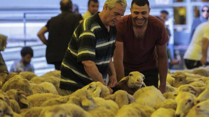 Sivas'ta Kurban Bayramı öncesi şap krizi