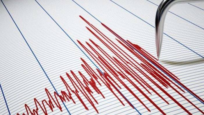 Fiji'de 7,2 büyüklüğünde deprem oldu