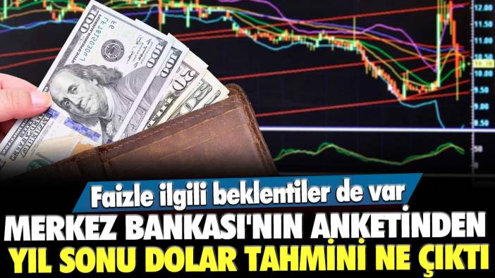 Faizle ilgili beklentiler de var! Merkez Bankası'nın anketinden yıl sonu dolar tahmini ne çıktı