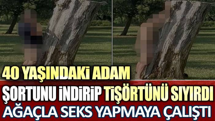 40 yaşındaki adam şortunu indirip tişörtünü sıyırdı, ağaçla seks yapmaya çalıştı