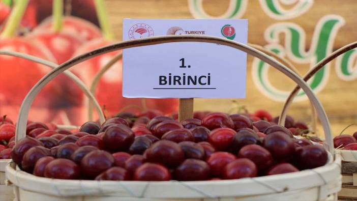 Amasya kiraz üretiminde üçüncü sıraya yerleşti