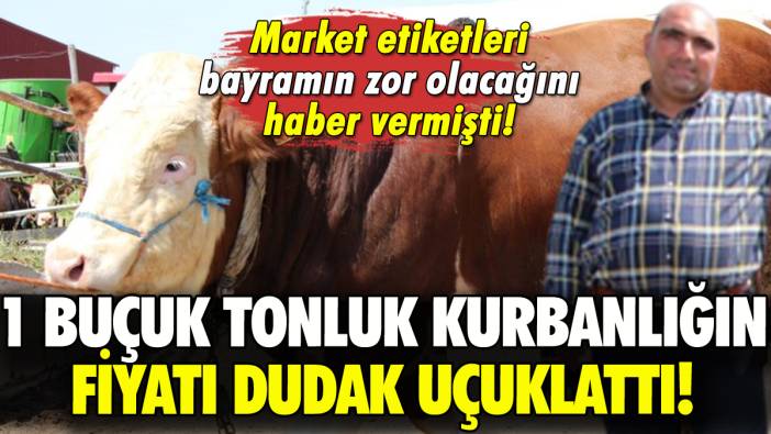 İşte Çorum'daki 1 tonluk kurbanlığın fiyatı!