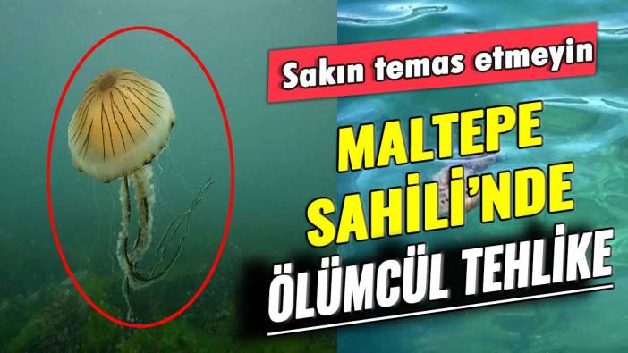 Maltepe Sahili’nde ölümcül tehlike: Sakın temas etmeyin