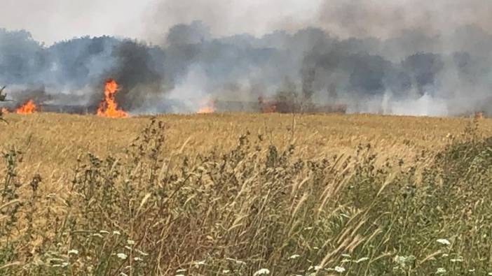 Çanakkale'de tarla yangını