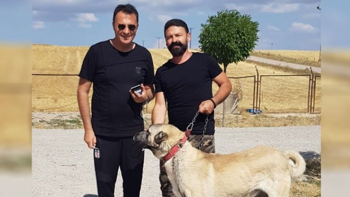 Fikret Orman, kangal çiftliğini ziyaret etti