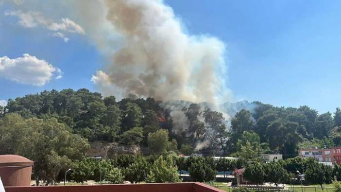 Hatay'da çıkan orman yangını söndürüldü