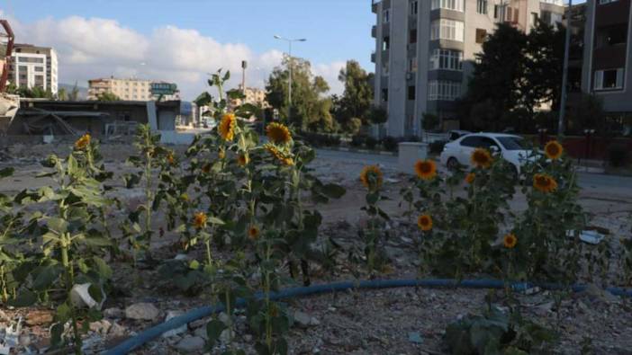 Enkaz altından  umutlar yeşerdi: Yüzler gülüyor