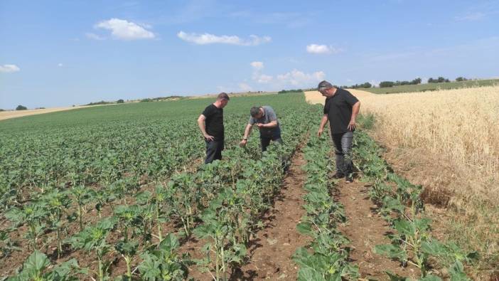 Edirne'yi dolu vurdu:16 bin dekar tarım arazisi etkilendi