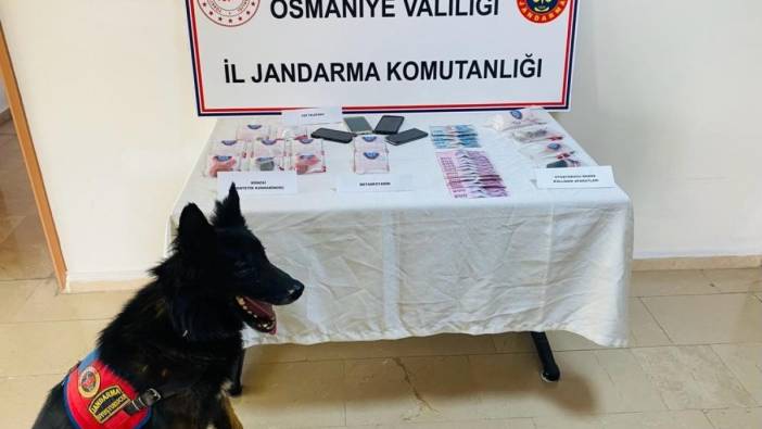 Jandarma uyuşturucu operasyonu;4 gözaltı