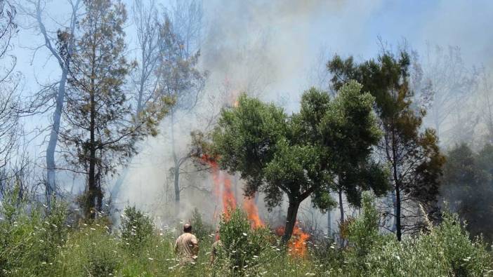 Antalya’da anızdan başlayan yangında, 2 dönüm kızılçam ormanı kül oldu