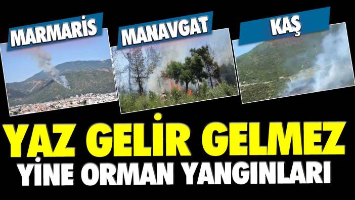 Yaz gelir gelmez yine orman yangınları! Marmaris, Manavgat, Kaş...