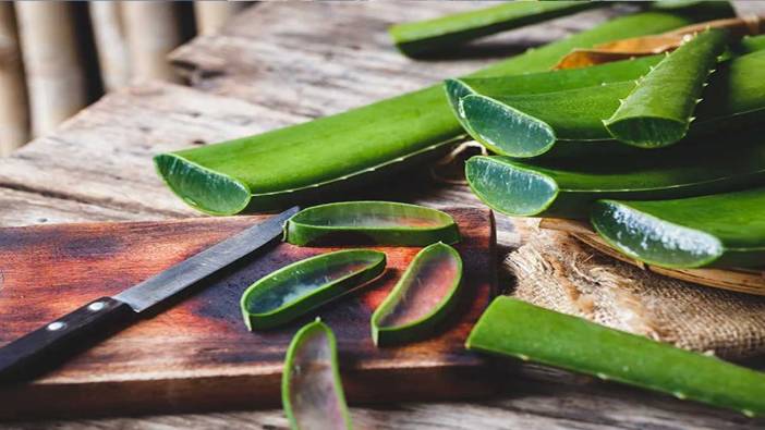 Aloe vera nedir, ne işe yarar? Aloe vera faydaları