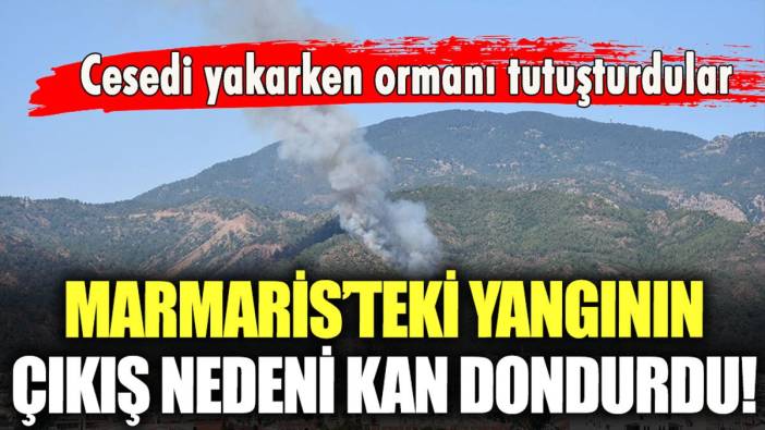 Marmaris'teki yangının çıkma nedeni kan dondurdu!