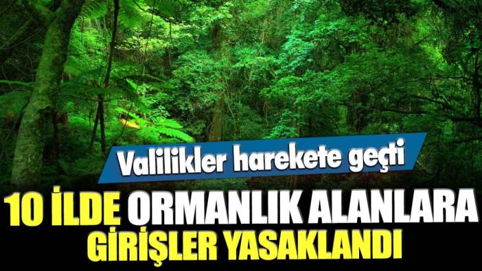 Valilikler harekete geçti! 10 ilde ormanlık alanlara girişler yasaklandı