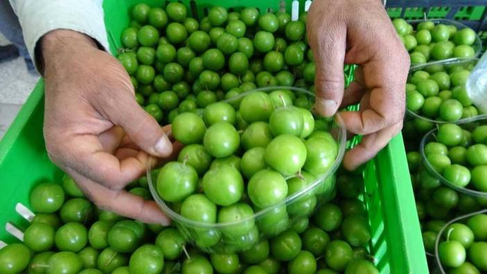 Rüyada erik görmek ne anlama gelir?