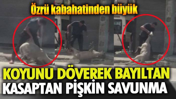 Koyunu döverek bayıltan kasaptan pişkin savunma: Özrü kabahatinden büyük