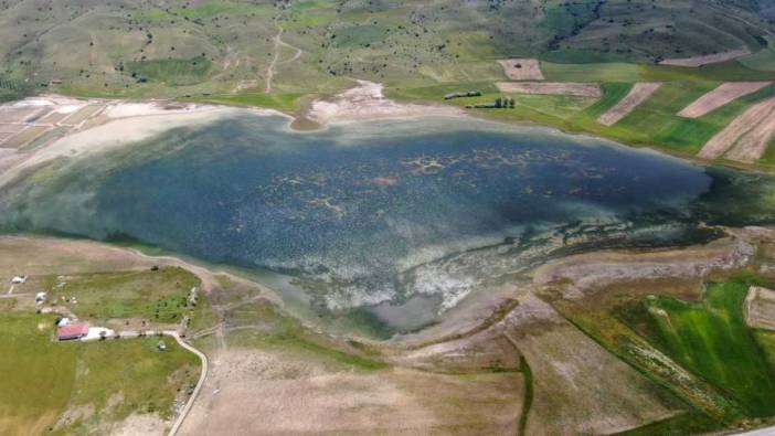 Kuraklık geride kaldı, yeniden canlanan kuş cenneti ziyaretçilerini bekliyor