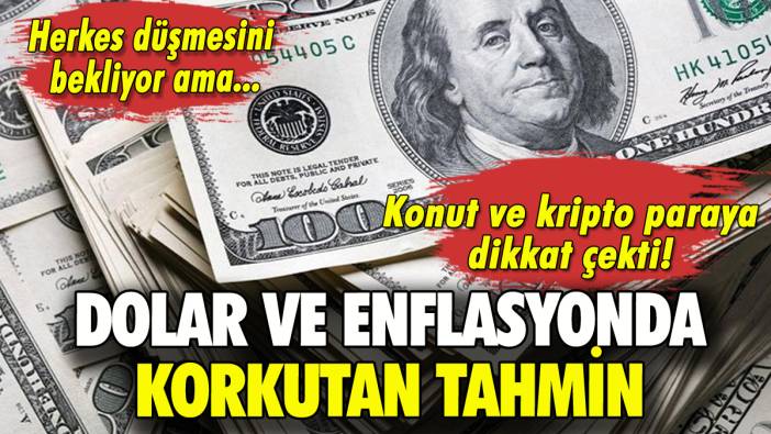 Dolar ve enflasyonla ilgili korkutan uyarı: Konut ayrıntısı ortaya çıktı!