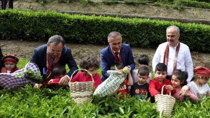 Çaykur'dan açıklama: Birinci sürgün 194 bin 351 ton alımla tamamlandı