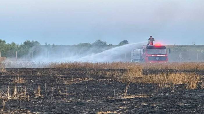 Kırklareli’nde 20 dönüm buğday kül oldu