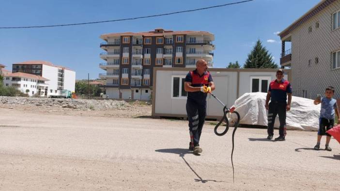 Adıyaman'da evde yılan paniği