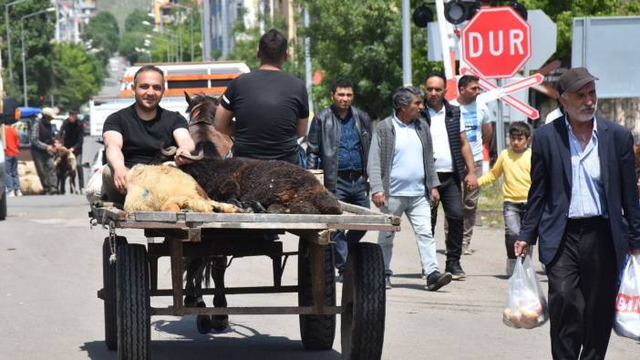 Kars'ta kurbanlıklar at arabalarıyla taşındı