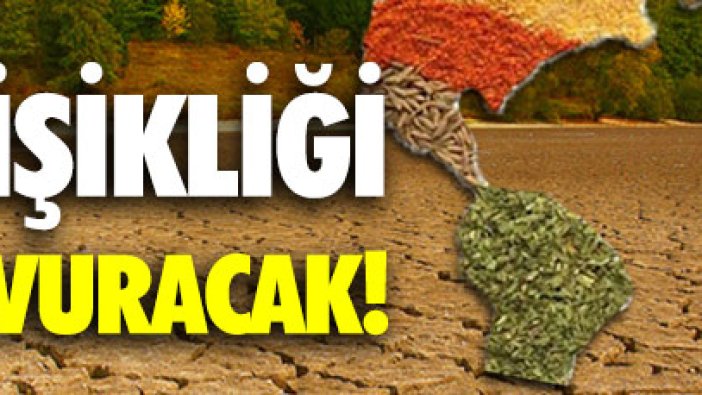 İklim değişikliği midemizden vuracak!