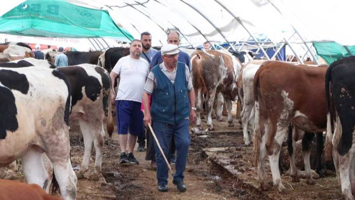 Türkiye Diyanet Vakfı, 316 binden fazla depremzedeye kurban eti ulaştırdı