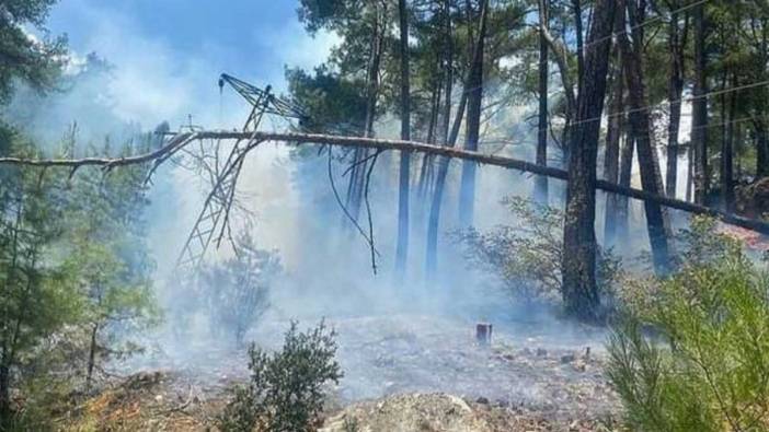 Antalya'da çıkan orman yangını söndürüldü