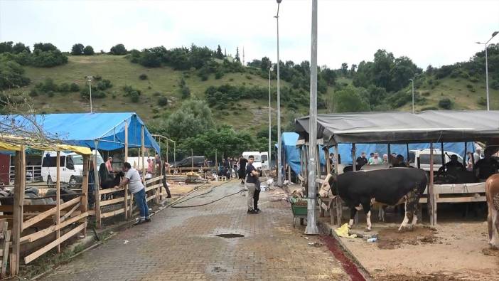 Elde kalan kurbanlıklar için besicilerin mesaisi devam ediyor