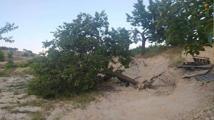 Elazığ’da fırtına ağaçları kökünden söktü