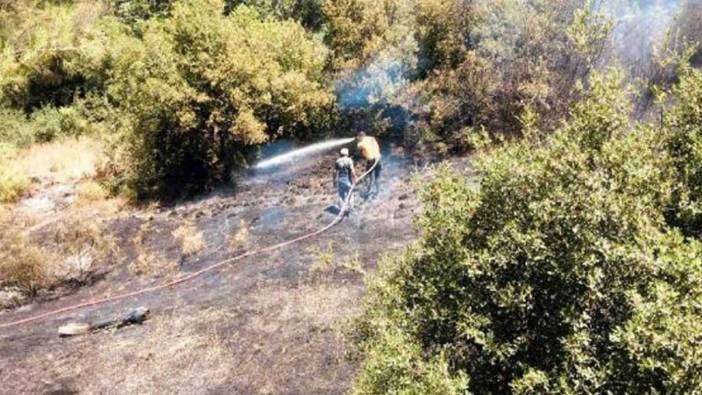 İzmir'de sazlık alanda çıkan yangına müdahale ediliyor